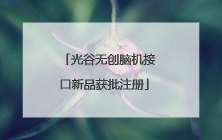 光谷无创脑机接口新品获批注册